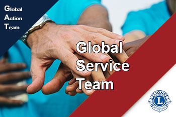 Global Servoice Team 350