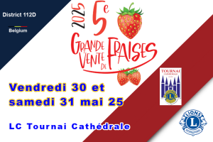 Tournai cath